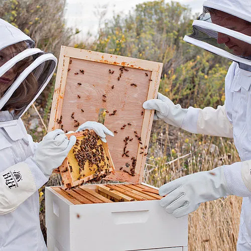 Small Backyard Beekeeping Kit with Accessories